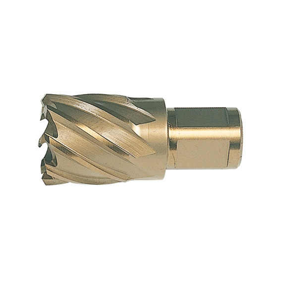 FRESE D 3866/1X12