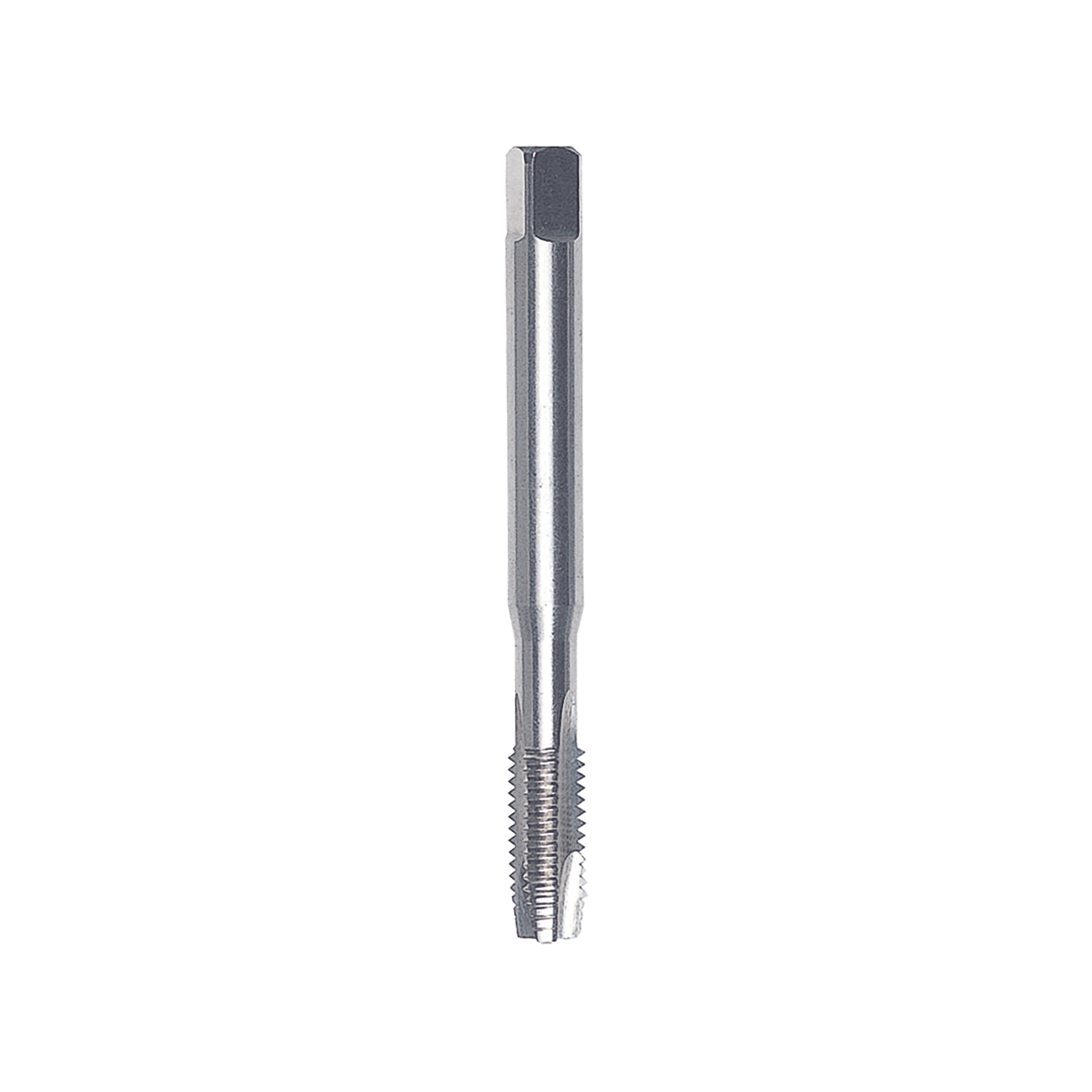 MASCHI F 7829/9X5
