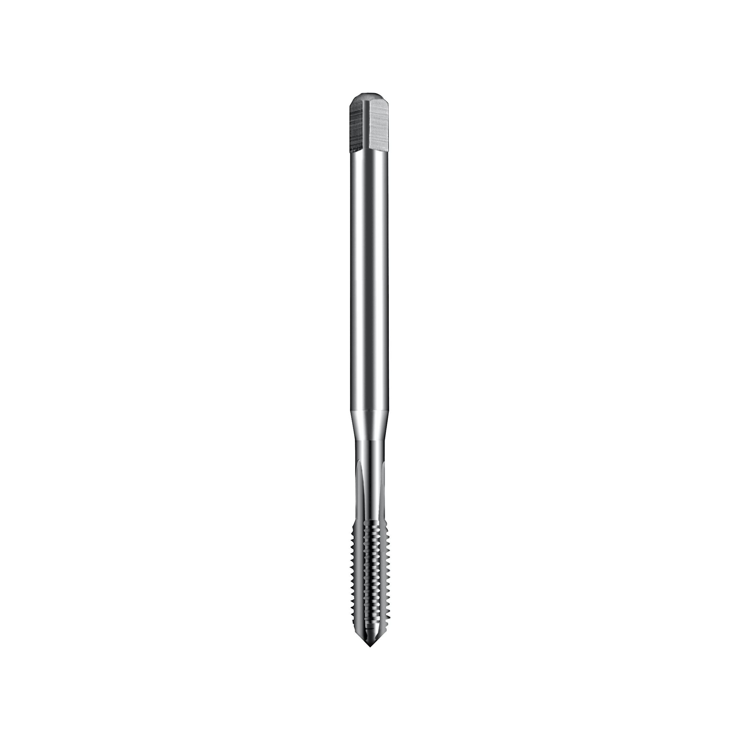 MASCHI F 7839X3 M