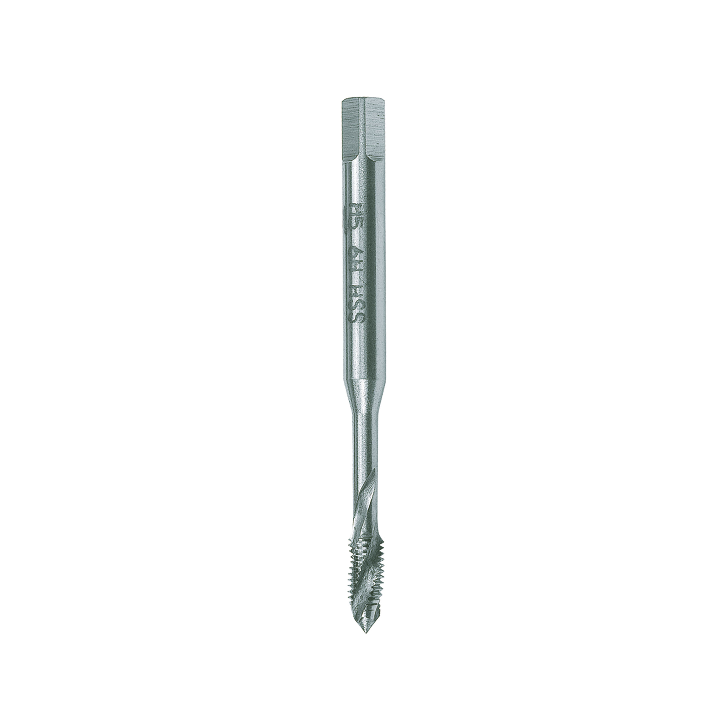 MASCHI F 7842/7X5