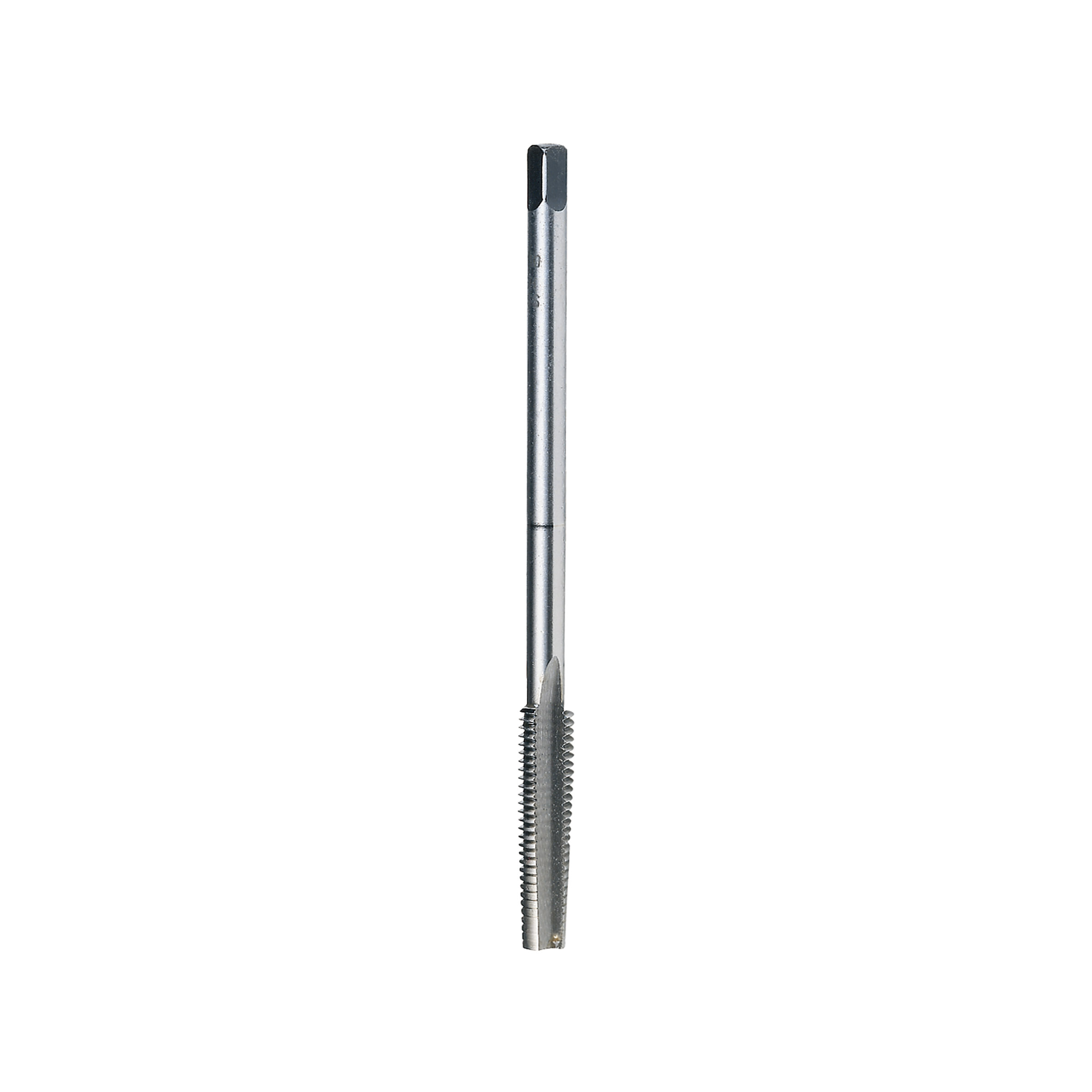 MASCHI F 7879X3