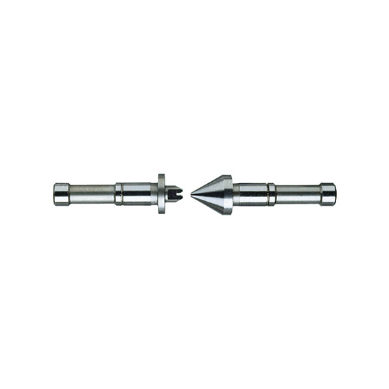 CAPRUGGINI+PUNTE H 4296X3