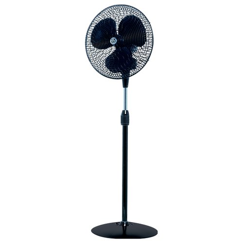 Ventilatore Vortice 60621 GORDON C40 16 N Black