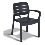 Sedia con braccioli Allibert K221209K939KK TISARA Grafite