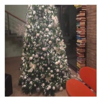 Lotti Importex - Catena lineare Nastro MiniCluster Ø6cm NTL 1500 LED CLASSIC Ø5mm
Reflex, Memory Controller 8 giochi di luce selezionabili, Trasformatore
24V, uso Esterno, Cavo Verde, Dimensioni 4+30,5m, per alberi H240-
300cm