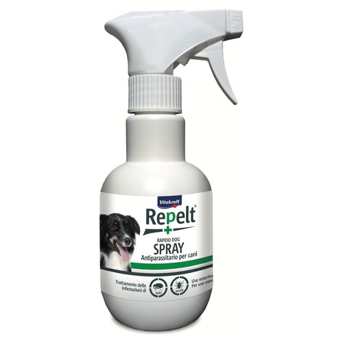 Spray Antiparassitario Per Gatti: La Guida Completa - Arca - 5