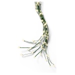 Kaemingk - Filo luci Kaemingk 496143 Fili luminosi