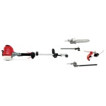 BLUEBIRD - BLUEBIRD DECESPUGL.