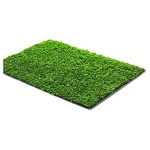 BIACCHI - Tappeto erba Biacchi P1902610 BASIK