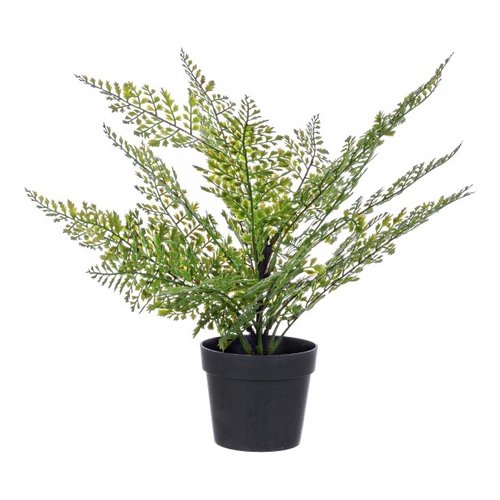 Pianta artificiale Yes Everyday 0171054 FELCE CUOIO