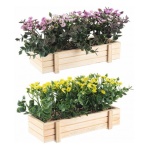 Yes Everyday - Pianta artificiale Yes Everyday 0172530 VASO FIORE DIANTHUS ASS2 Assor