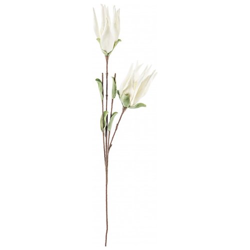 Stelo Yes Everyday 0172716 Aloe Chinensis X2F Bianco