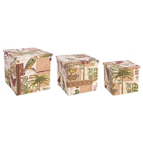 Set scatole portaoggetti Yes Everyday 0210754 Botanic Pieghevole Rosso