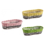 Yes Everyday - Coprivaso Yes Everyday 0381423 EVELINA