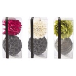 Yes Everyday - Profumatore ambienti Yes Everyday 0164594 DECORAZIONE PROF DECO SCATOL