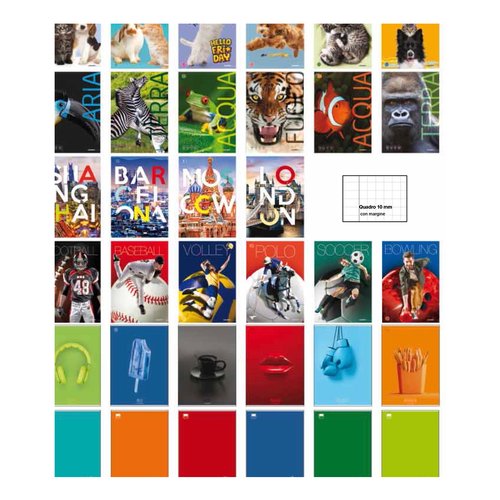 Blasetti  Quaderno Blasetti 00459