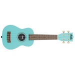 Kala - Ukulele Kala UKFROSTBITE2006 UKADELIC Frost Bite