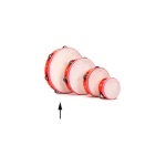 L. F. - Tamburello L. F. 404823 DIDATTICA Th10 6B Bianco e Rosso