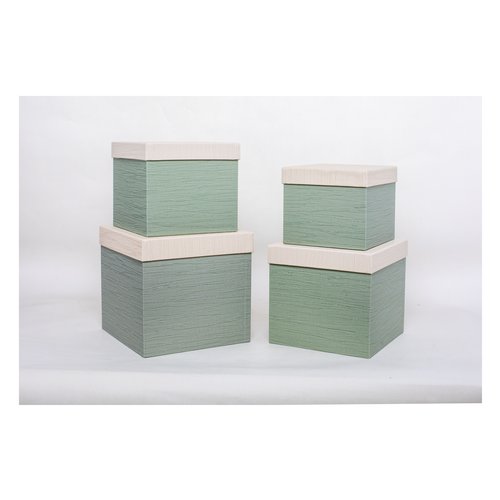 Scatola regalo Amicasa Set 4 Pz Verde Assortito