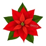 Amovita - Set regalo bagno Amovita Veravita Stella di Natale 100 ml + 50 ml