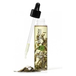 Teaology - Bancha Oil 100 Ml Teaology