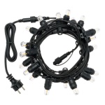 Filo Lotti 42230 XMAS KING E14 Papaya Nero