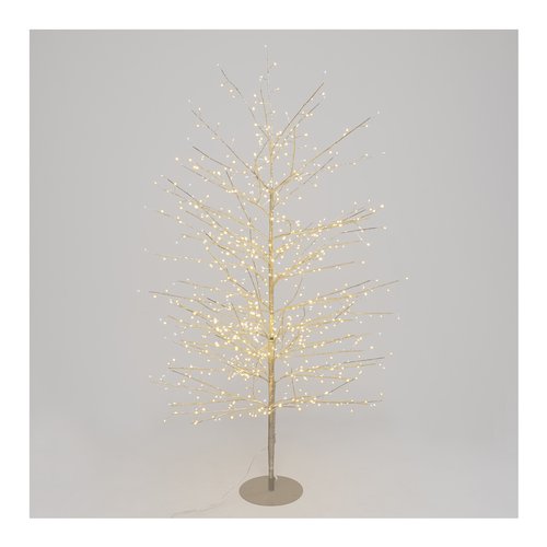 Albero luminoso Lotti 76310 TIGLIO Champagne