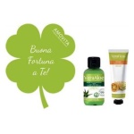 Amovita - Set regalo Amovita Albero della vita quadrifoglio veraloe