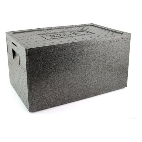 Cassetta Trix FV 40459 GASTRONORM Isotermica Mod. 1/1 Grigio