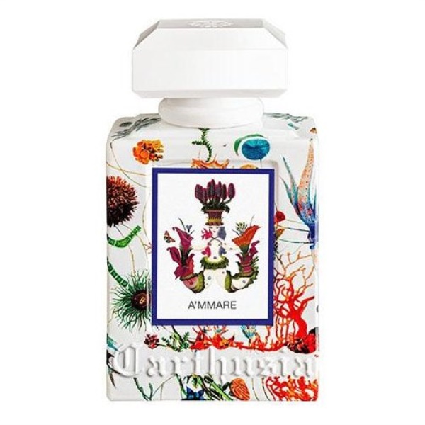 Fragranza unisex Carthusia Capri Forget Me Not Eau De Parfum 100 ml