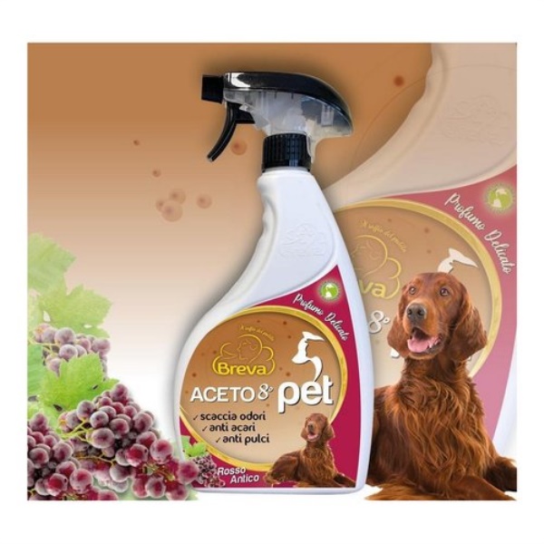 Disinfettante spray Breva Aceto 8° cucce cani rosso antico