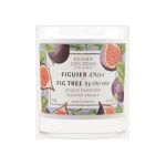 Panier des Sens - Deodoranti per Ambienti e Candele Panier des Sens Candela profumata ce