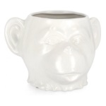 Yes Everyday - Vaso Yes Everyday 0143163 JAIDEN Scimmia Bianco