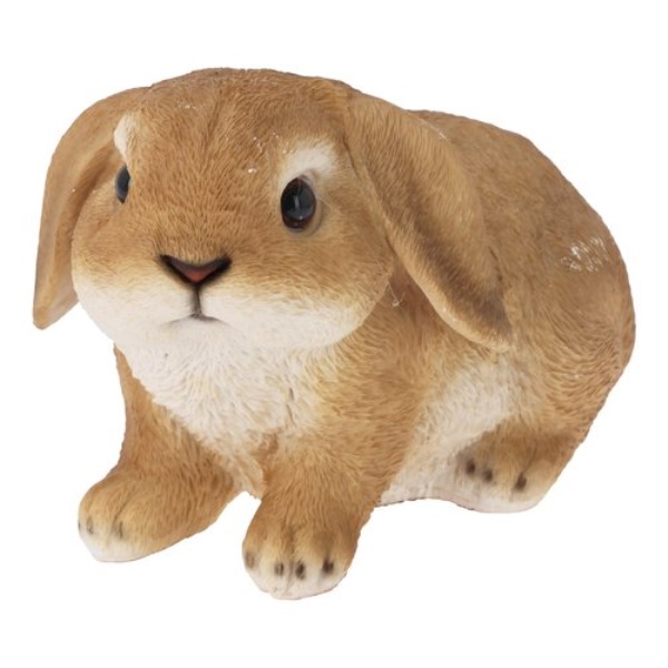 Accessorio decorativo Koopman 795420080 Leprotto