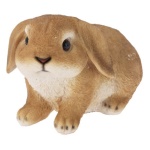 Koopman - Accessorio decorativo Koopman 795420080 Leprotto