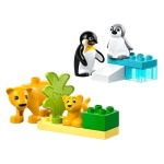 LEGO - Famiglie di animali: pinguini e leoni LEGO 10442 DUPLO TOWN
