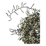 Filo Lotti 80331 XMAS KING Verde