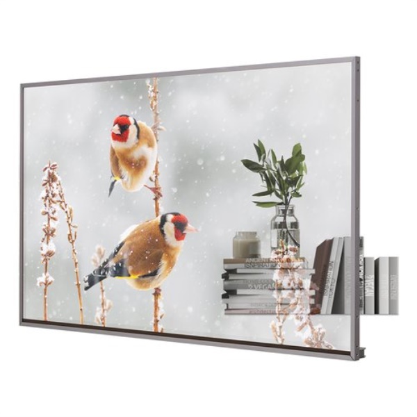 Display professionale Lg 55EW5P M AEU Transparent OLED Signage