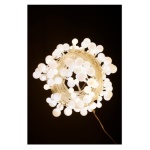 Pre Qu' Italia - Filo Pre Qu' Italia D3969 CHRISTMAS Sferette Led opache giochi luce Bi