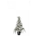Bizzotto Christmas decor - Albero Natale Bizzotto Christmas decor 0939850 COLLALTO Pino Verde inn