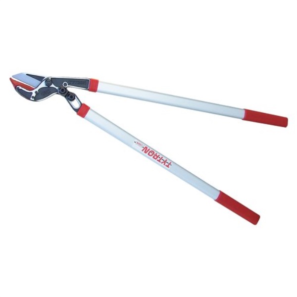 Troncarami Lisam 9015 TYTRON