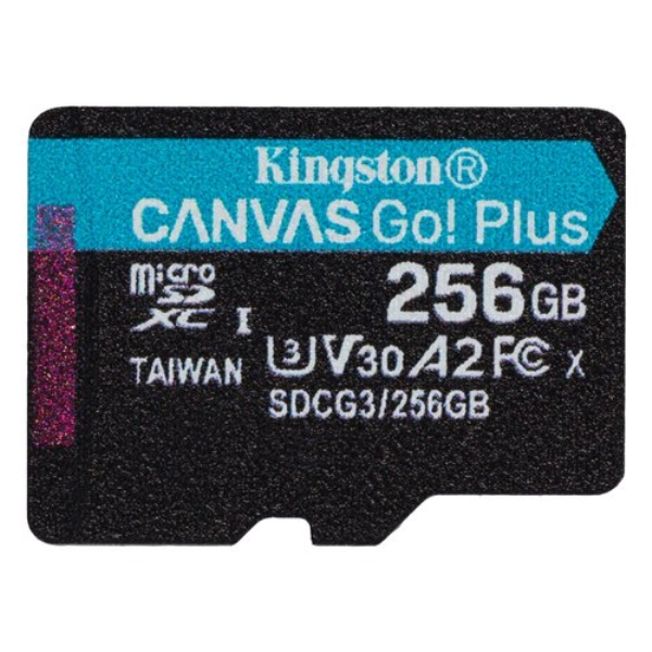Scheda di memoria Kingston SDCG3 256GBSP CANVAS GO! PLUS