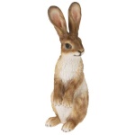 Koopman - Accessorio decorativo Koopman 795420000 Leprotto Assortito