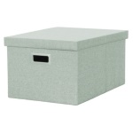 Amicasa - Scatola salvaspazio Amicasa SNH 005 pieghevole Verde chiaro