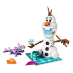 LEGO - Costruzioni LEGO 43287 DISNEY CLASSIC Il divertente picnic di Olaf e B
