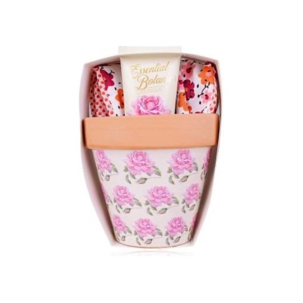 Crema mani Accentra set regalo con vaso fiori