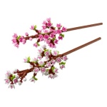 LEGO - Costruzioni LEGO 40725 Botanicals
