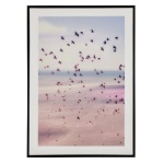 Yes Everyday - Stampa con cornice Yes Everyday 0245246 VOYAGE