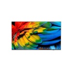 PHILIPS - Hotel tv Philips 58HFL6214U 12 MEDIASUITE Antracite