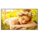 LG - Display professionale Lg 50UL5Q E UL5Q SERIES Signage Black